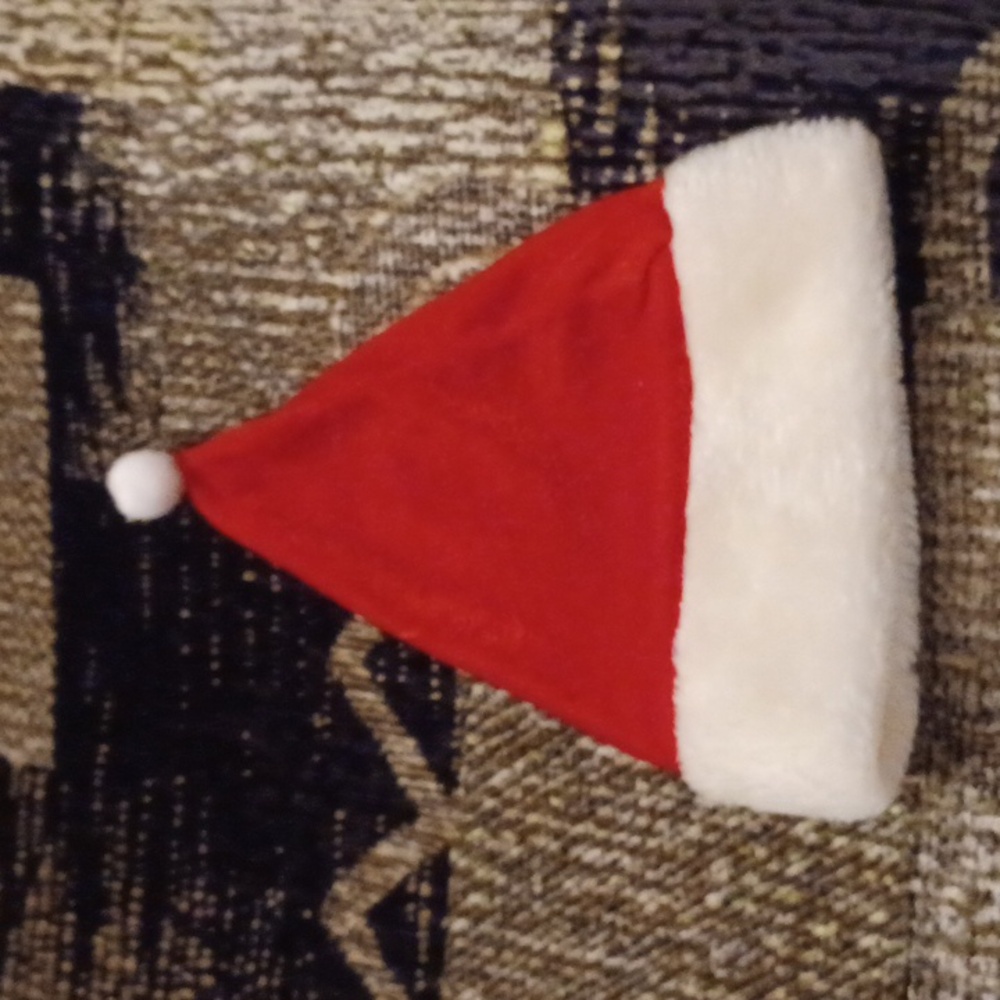4/$30 Small Santa Hat - Cat Size
